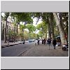 2032 Aix Tree Lined Street_L.jpg