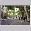 2032 Aix Tree Lined Street.jpg