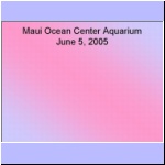 050605_aMauiOceanCenterAquarium.jpg